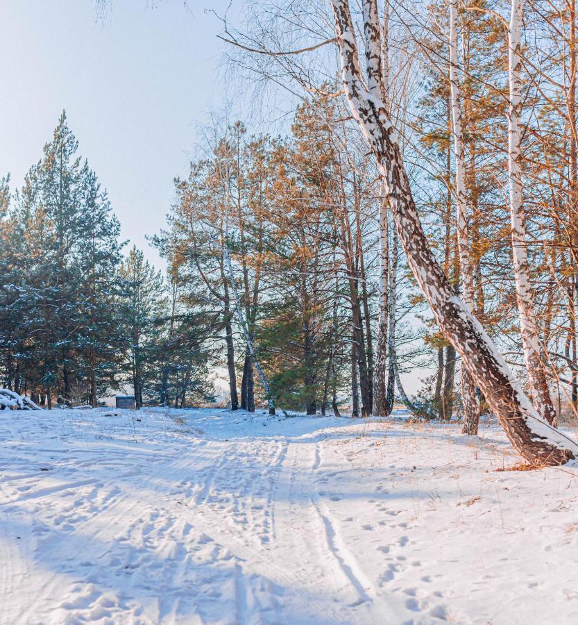 Log Hause Savin Villa Buitenkant foto