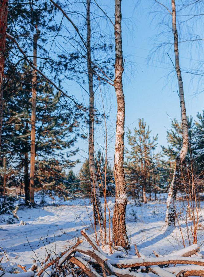 Log Hause Savin Villa Buitenkant foto